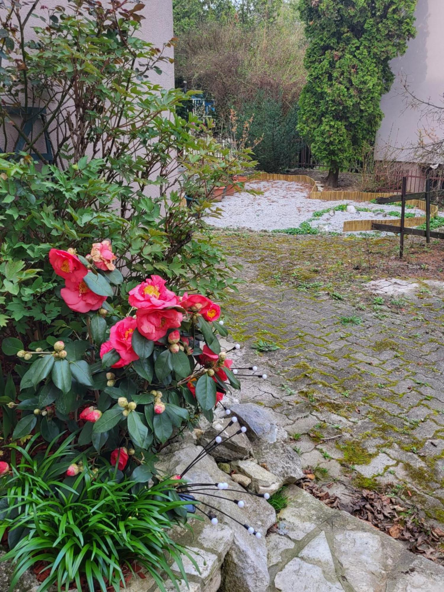 Vino & Grad Appartement Zagreb