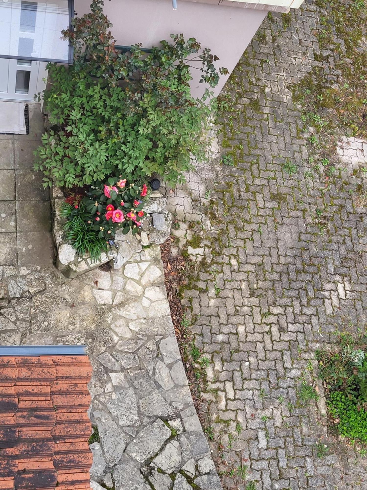 Appartement Vino & Grad